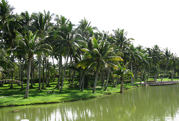 只有創(chuàng)新產(chǎn)品，才能占據(jù)市場(chǎng)主導(dǎo)地位